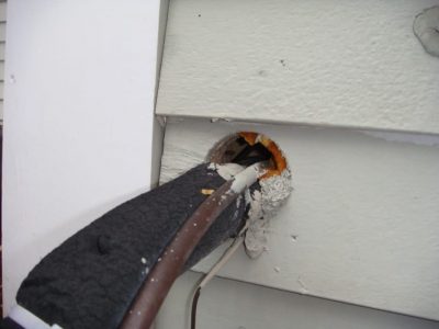 mouse entry point mouse exclusion and control Georgetown mouse entry point mouse exclusion and control Georgetown